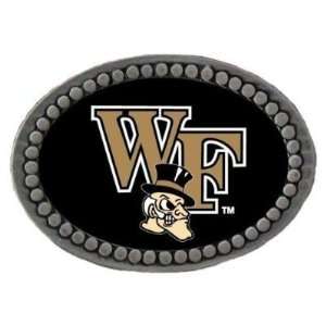 Set of 2 Wake Forest Demon Deacons Team Logo Lapel Pin   NCAA College 