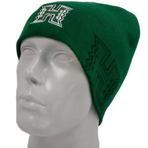  Nike Hawaii Warriors Green In the Paint Knit Beanie 