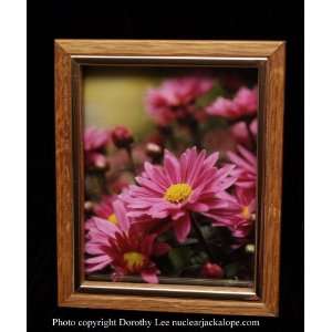   fine art photograph by Dorothy Lee pink flower floral 
