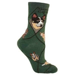  Australian Cattle Dog Green Cotton Novelty Socks for 