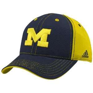  adidas Michigan Wolverines Youth Navy Blue Maize 