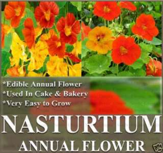 BULK NASTURTIUM Flower Seeds ~ Edible Decor Tropaeolum  