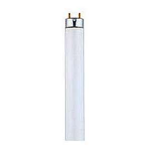  32w 4 Ft. Linear Fluorescent T8 Lamp   Package Of 25