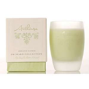  Anthousa Ambiance Candle Orchard Collection Fig Leaf 