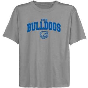  Louisiana Tech Bulldogs Youth Ash Logo Arch T shirt 
