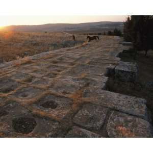  Geographic, Ruined Roman Road, 8 x 10 Poster Print
