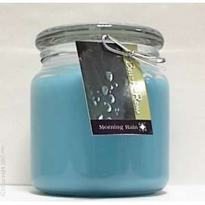  Hand Made Scented Soy 16oz Classic Jar Candle   Morning 