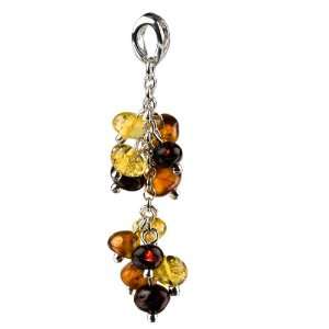  Tropical Fruit Collection Baltic Multicolor Amber Sterling 