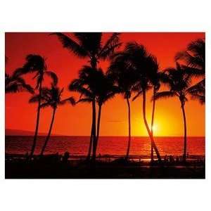  Hawaii Photography Poster Hawaiian Sunset 9 inch by 12 