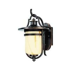  Troy Lighting B1633OBZ Oyster Bay Outdoor Sconce, Old 