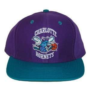  Vintage Charlotte Hornets Snapback Hat Cap   2 Tone Purple 