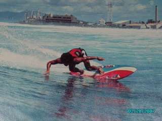   Larry Bertlemann Twin Fin Swallow Tail Hawaii Surfing Surfboard  