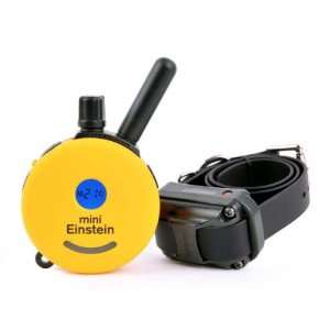   Collar Technologies Einstein Mini Remote Dog Trainer