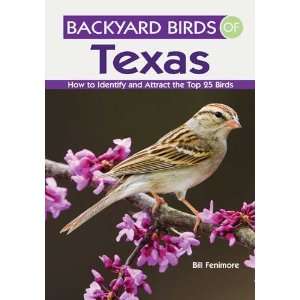  Backyard Birds of Texas   Book Series, Top 25 Common Species 