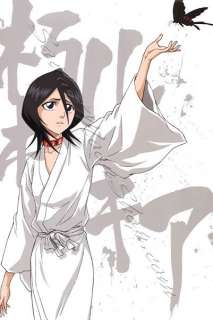 looking for your favorite bleach characters ichigo rukia orihime chad