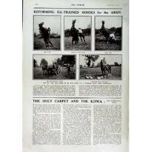  1916 WAR HORSES TRAINING DEPOT SHREWSBURY ENGLAND