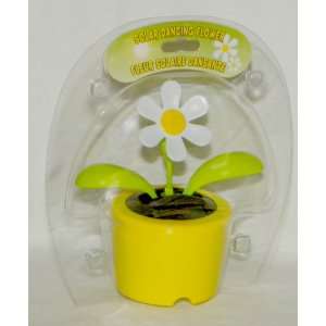  Solar Dancing DAISY Flower (Bubble Package)   YELLOW Pot 