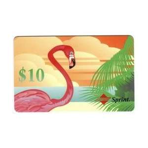   Phone Card $10. Flamingo   Spanish Reverse 