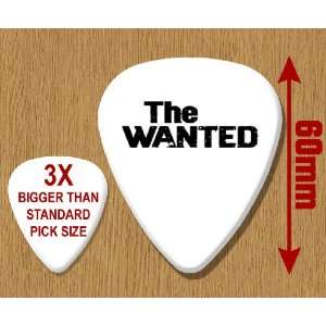  Wanted BIG Guitar Pick Musical Instruments