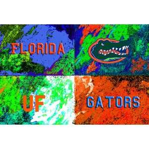 Florida Painting   Warhols Florida Logo  Sports 