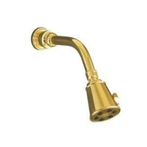 IV Georges Brass Single function Shower Head, Arm and Flange Finish 