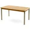 Alu Teak Holz Gartentisch Teaktisch Tisch 200x90x75 cm  