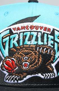 Mitchell & Ness The Vancouver Grizzlies Sharktooth Snapback Hat in 
