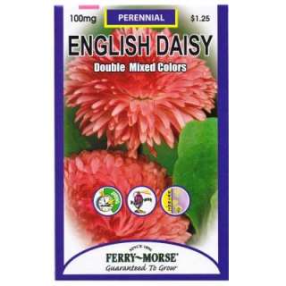 Ferry Morse 100 Mg English Daisy Double Mixed Colors Seed 1047 at The 