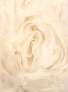 Monique Lhuillier Sunday Rose Strapless Silk Organza Couture Bridal 