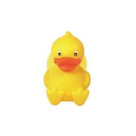 Cute & Funky Rubber Duck Toothbrush Holders by Pinko  