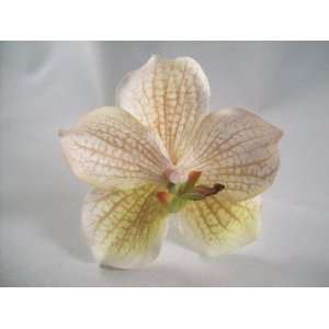  Light Green Vanda Orchid Flower Hair Clip 