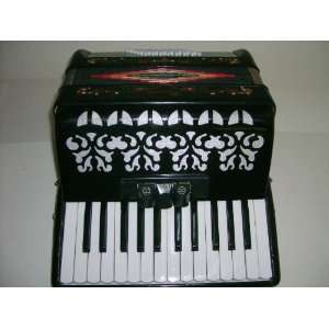   Accordion 48 Bass 26 Key 3 Switch, with Case Musical Instruments