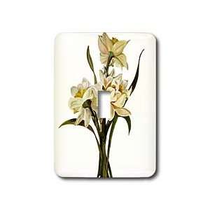 Taiche Acrylic Art   Flowers Narcissi   Light Switch Covers   single 
