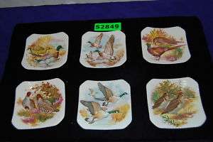 Set of 6 Royal Adderley Bird Scene China Dishes #S2849  