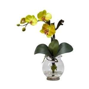 Mini Phalaenopsis with Fluted Vase Silk Flower Arrangement   Nearly 