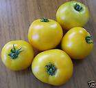 Tomato, Jubilee. 25 Seeds Gardening.