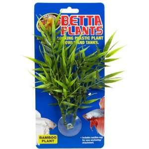  Betta Plants   Bamboo (Quantity of 4) Health & Personal 