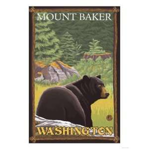 Black Bear in Forest, Mount Baker, Washington Giclee Poster Print 