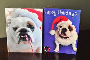English Bulldog Photo Christmas Greeting Cards, Set of 10 Custom 