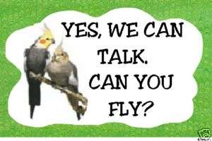 Cockatiel Fridge Magnet Funny We Can Talk Can You Fly  