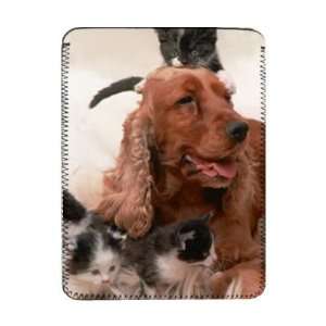  Cocker Spaniel Sally with four kittens   iPad Cover 