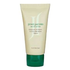    June Jacobs Cellular Intensive Cuticle Cream 1.6 oz Beauty