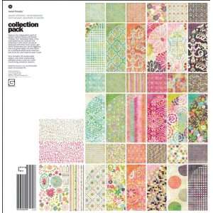  Scrapbook Paper Collection Pack   744149 Patio, Lawn 