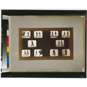   ,motion,series,movements,Eadweard Muybridge,CA,c1881