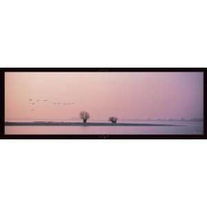  Migration by Philippe Bourguignon. Size 37.5 inches width 