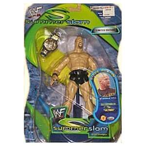    WWF Champion Summer Slam Limited Edition Steve Austin Toys & Games