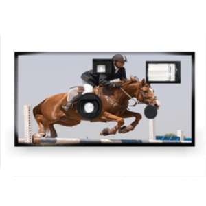    Sports Horse Riding Disposable Camera Case Pack 20