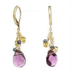    Amethyst Citrine Blue Color Beads Fashion Earrings Jewelry