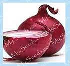 Onion Seeds CRISP Mild Taste Short Day Type   RED GRANO
