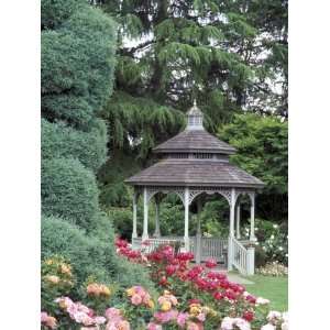  Gazebo and Roses in Bloom at the Woodland Park Zoo Rose 